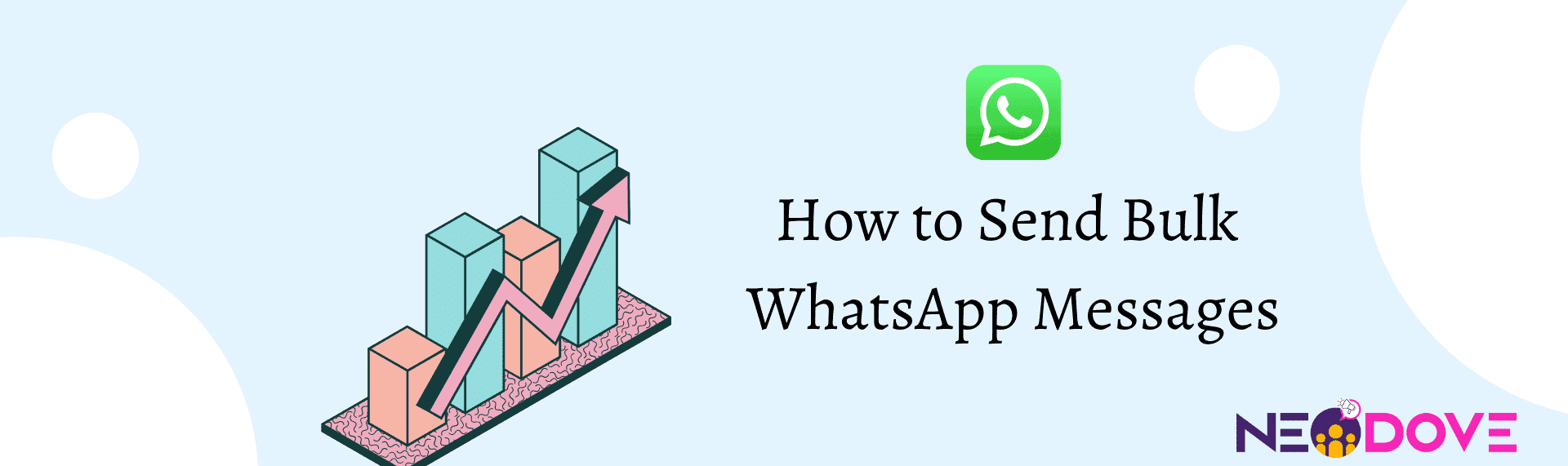 How to Send Bulk WhatsApp Messages